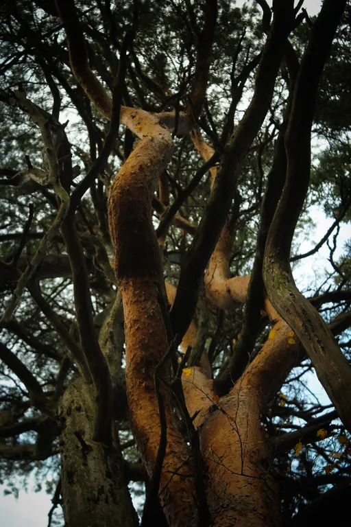 Коттедж Вилла Kolme с видом на лес и зоной барбекю — Приозерск