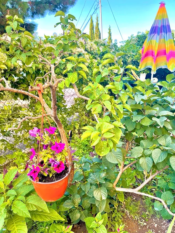 Квартира-студия напротив Мисхорского парка c двориком