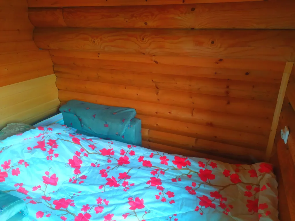 Дом с баней на дровах