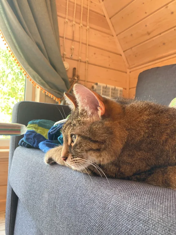 Гостевой дом за городом