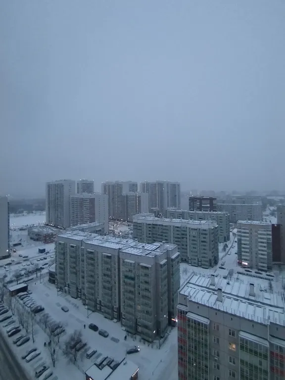 Квартира белые россы