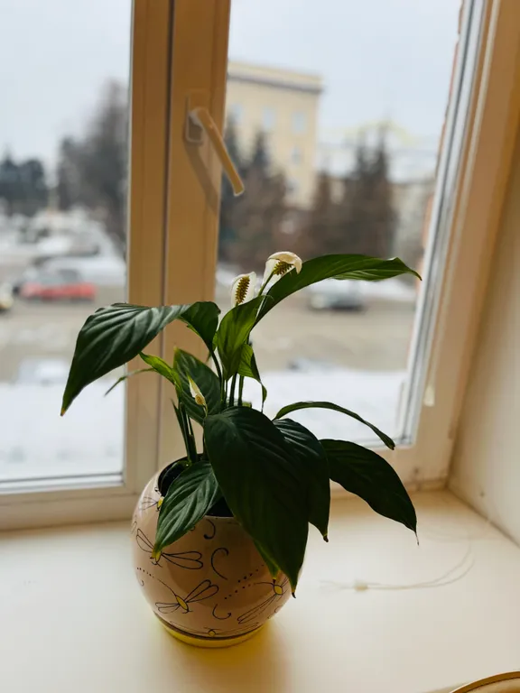 1-комнатный люкс на площади Ленина