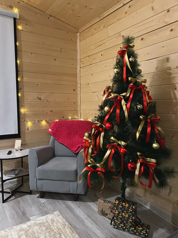 Дом O'Pushka space в березовом лесу