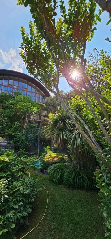 Солнце Ялты