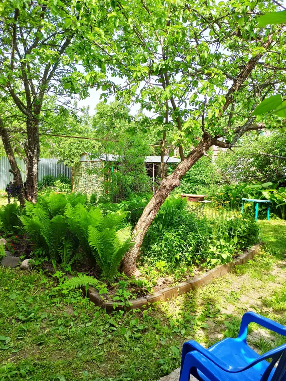 Дом Русское подворье