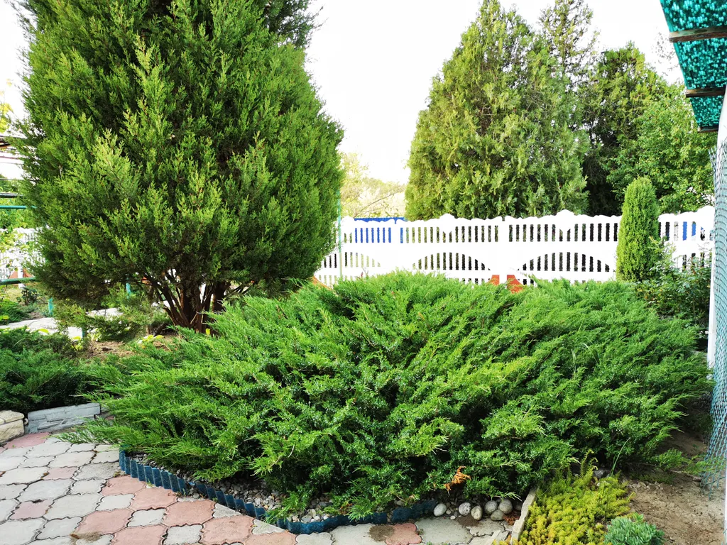 Коттедж Большой дом на море — Кучугуры