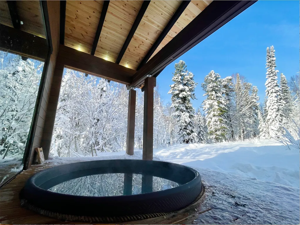 Стильное шале Sherebor