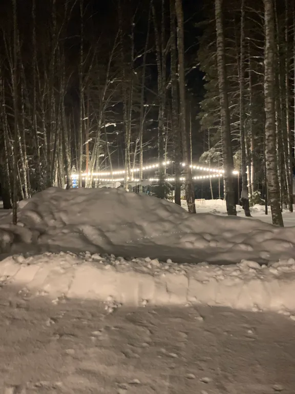 Дом на Горьковском море