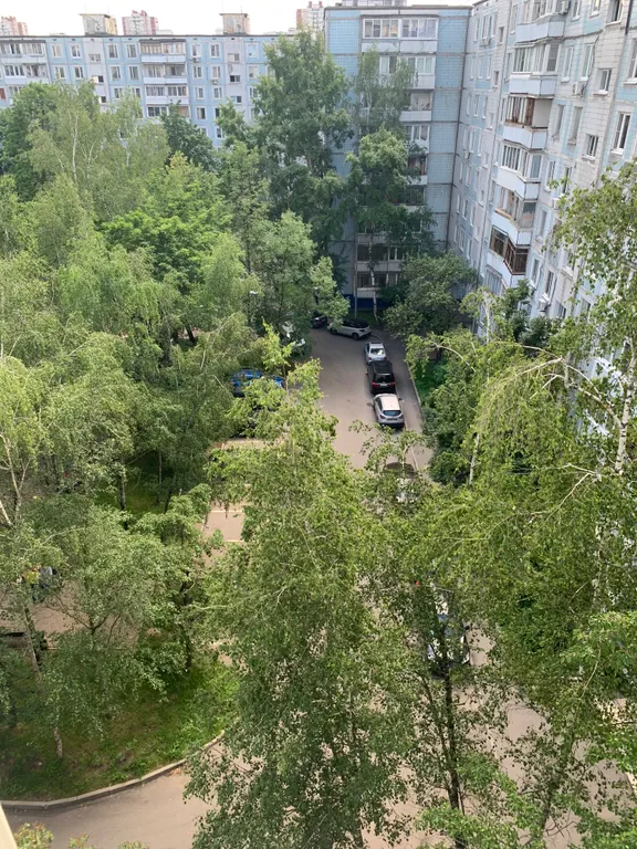 Квартира Квартира Удобная однушка в Ясенево недалеко от аквапарка — Москва