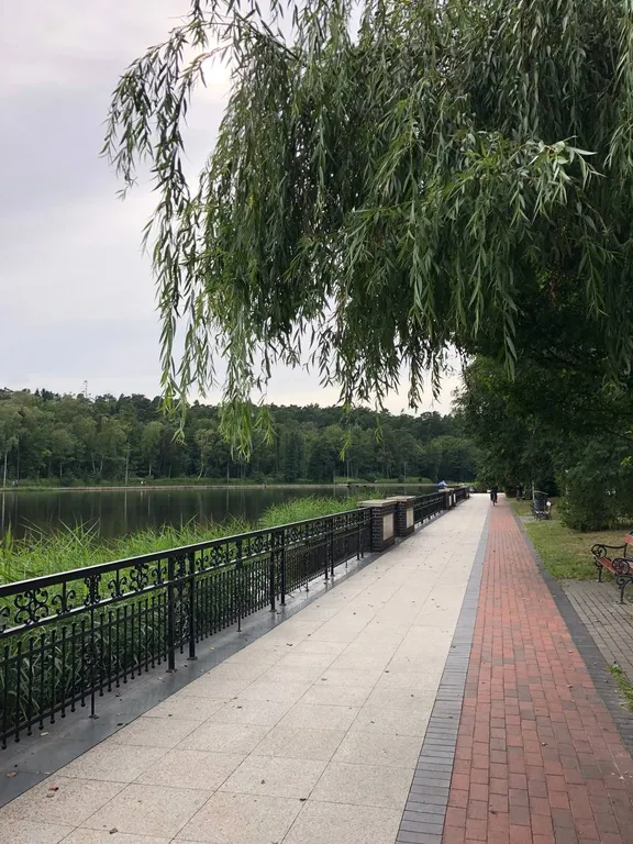 Sea and Lake Svetlogorsk