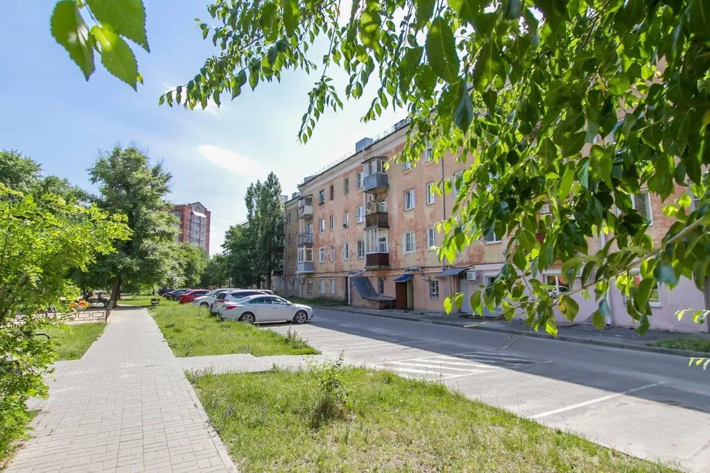 Студия у Воронежского зоопарка
