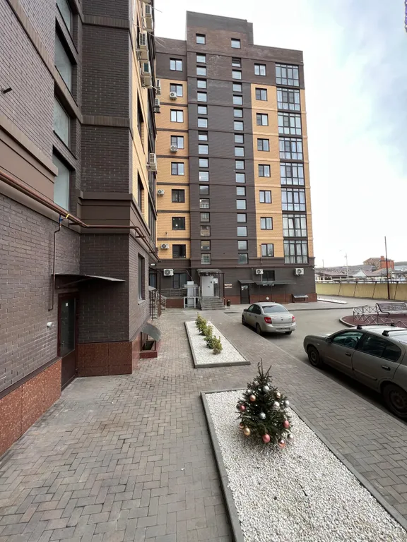 Новая квартира в центре города