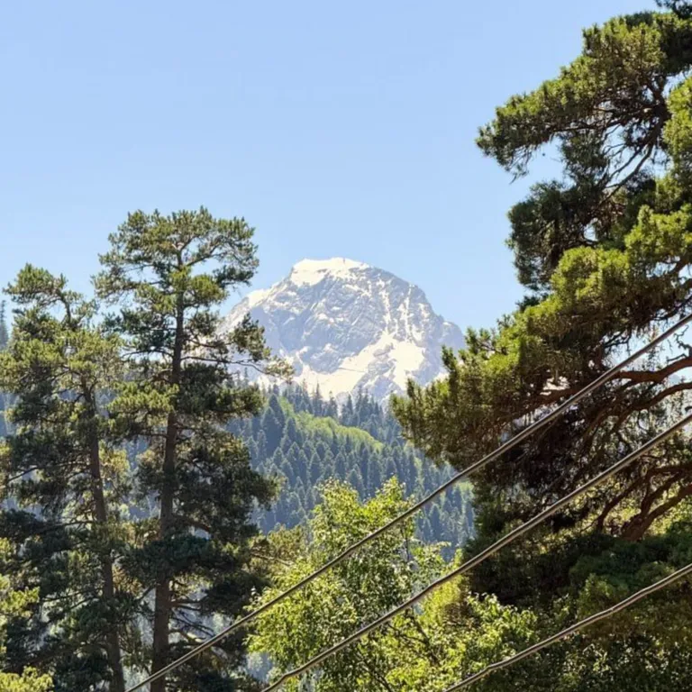 Квартира Апартаменты на 2 этаже с видом на горы — Архыз