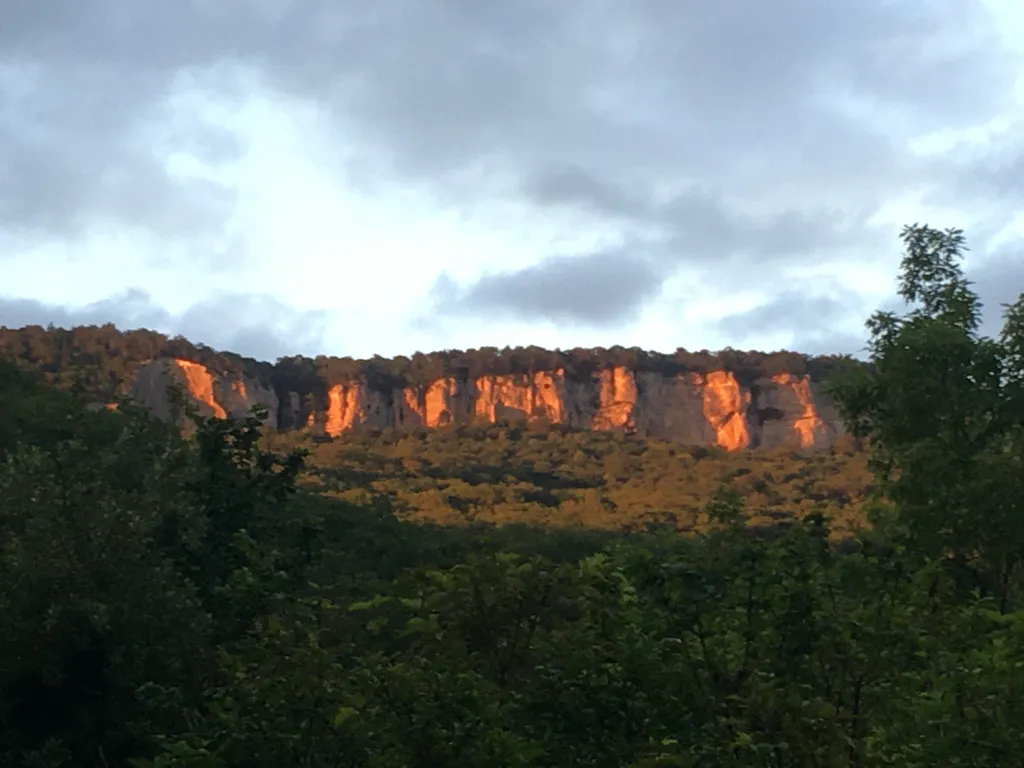 Вилла Абрикос