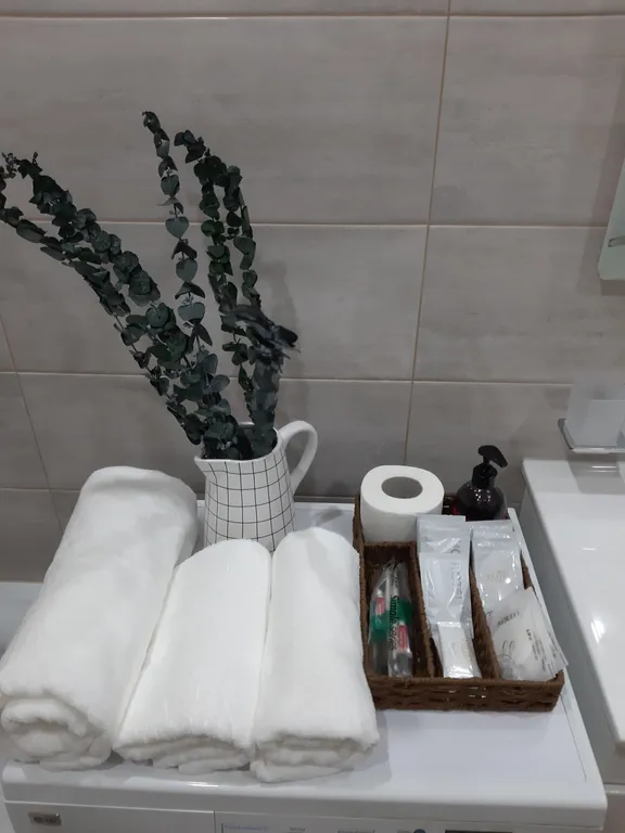 Квартира Уютная квартира во Французском квартале — Владикавказ