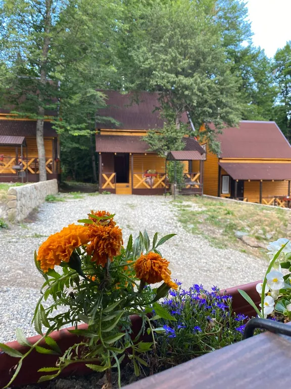 Коттедж 3-комнатный Дом — Архыз