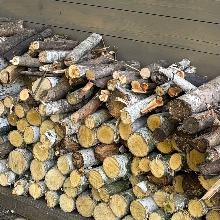 Домик в лесу