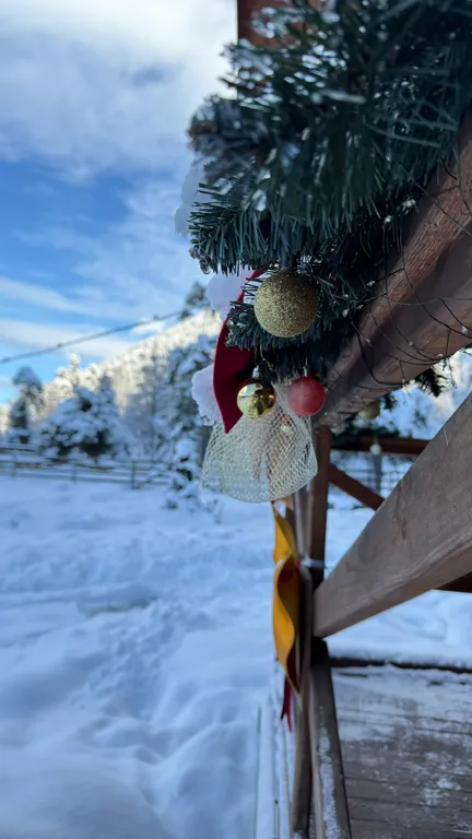 Шале с видом на горы