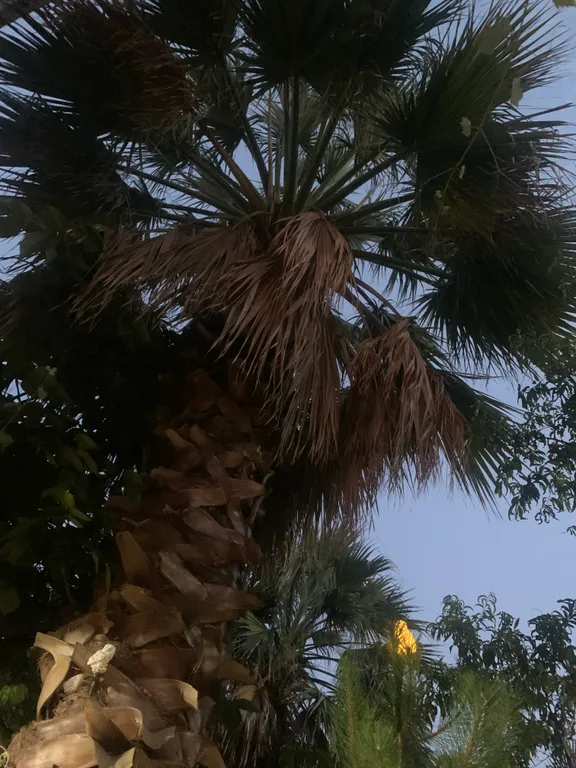 Квартира Комната — Адлер