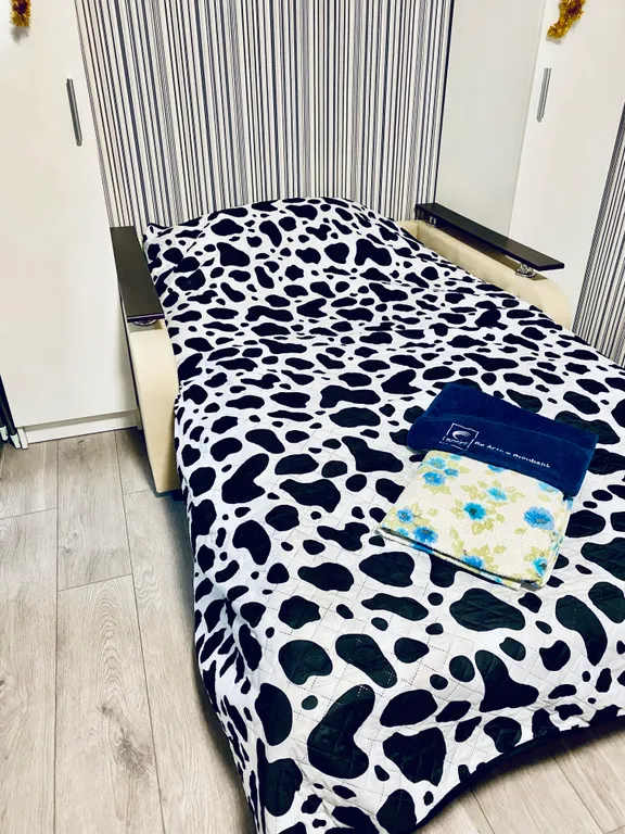 Уютная квартира впервые после ремонта