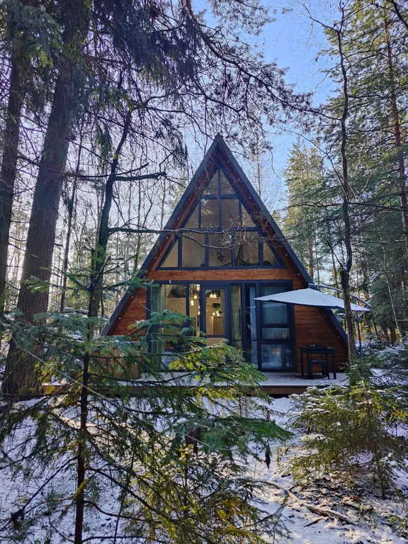 Большой уютный дом в лесу