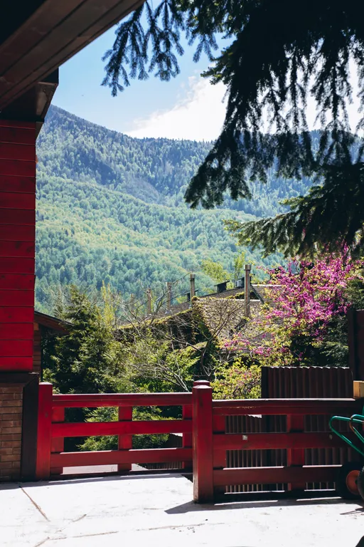 Вилла Лилиан с видом на горы