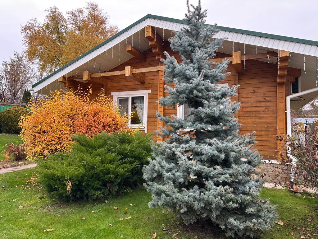 Коттедж Деревянный домик с русской банькой в Большой Царевщине — аренда посуточно в Волжский