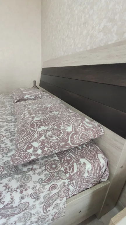 Уютная квартира в центре на Маяковского