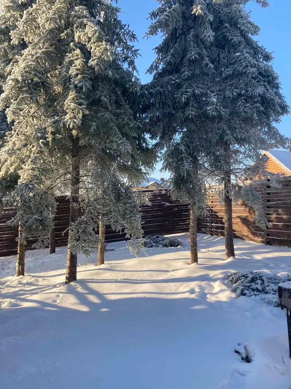 Семейный уют