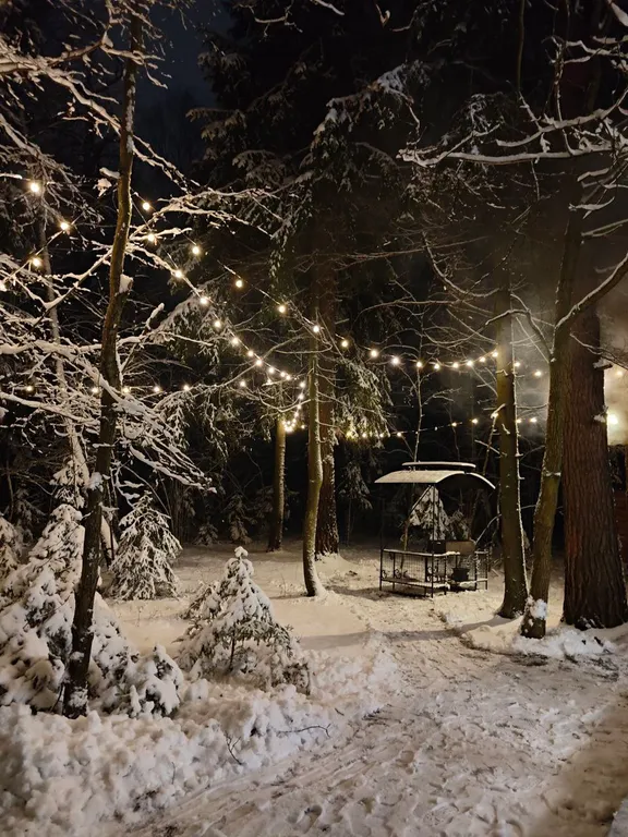 Большой уютный дом в лесу