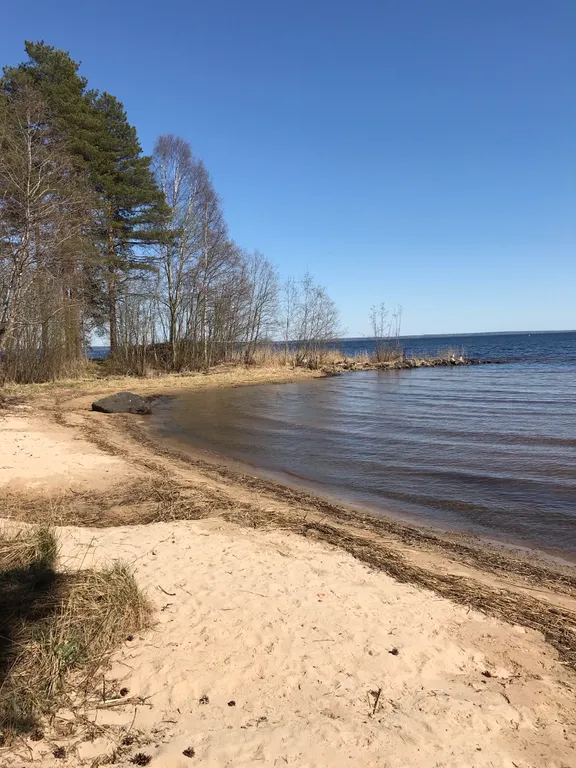 Квартира Солнышко в деревянном доме на самом берегу Онежского озера