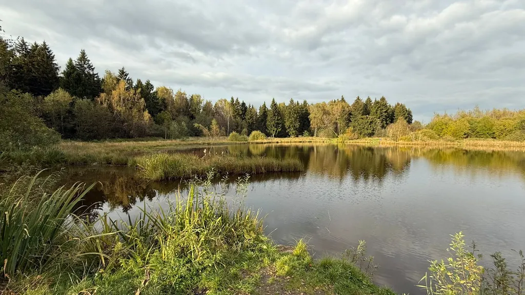 Загородный дом у озера в Подмосковье