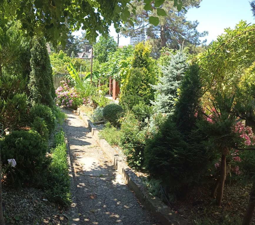 Двухместный номер стандарт с видом на сад