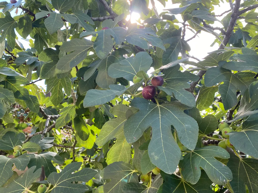 Коттедж Уютный дом на холме с красивыми видами на море, олимпийские объект — Сочи