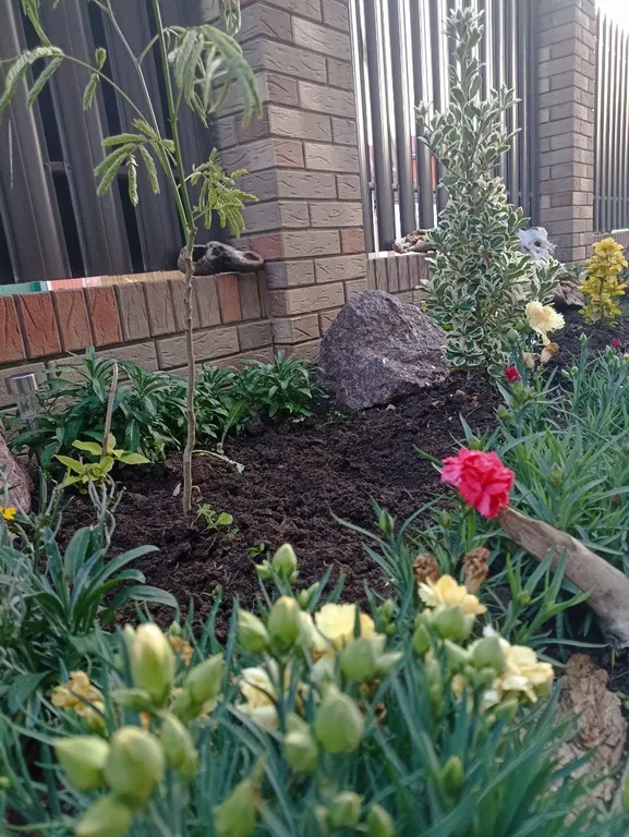 Просторный 5-местный уютный эконом