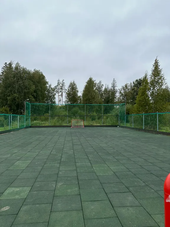 Большой дом