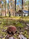 Оксана