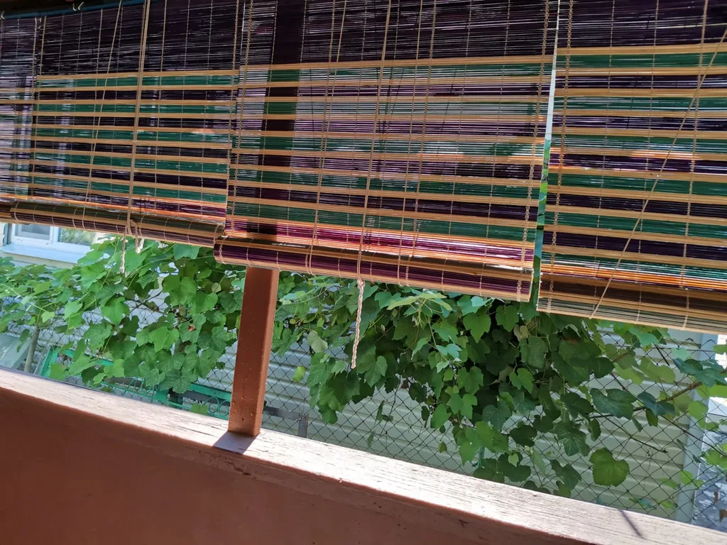 Коттедж Уютный домик возле моря — Сочи