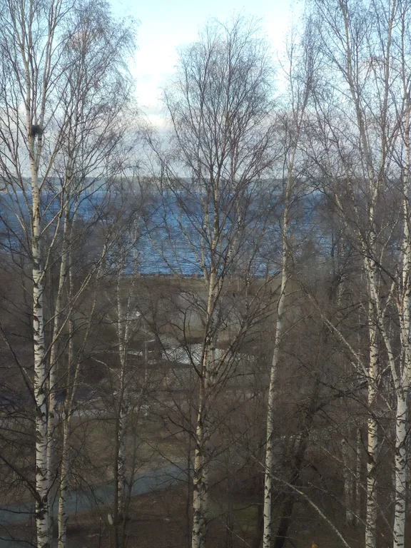 Уютное гнёздышко у озера