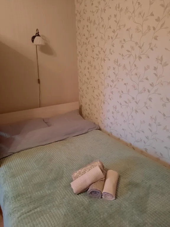 Уютная квартира у метро Дыбенко и парка Оккервиль