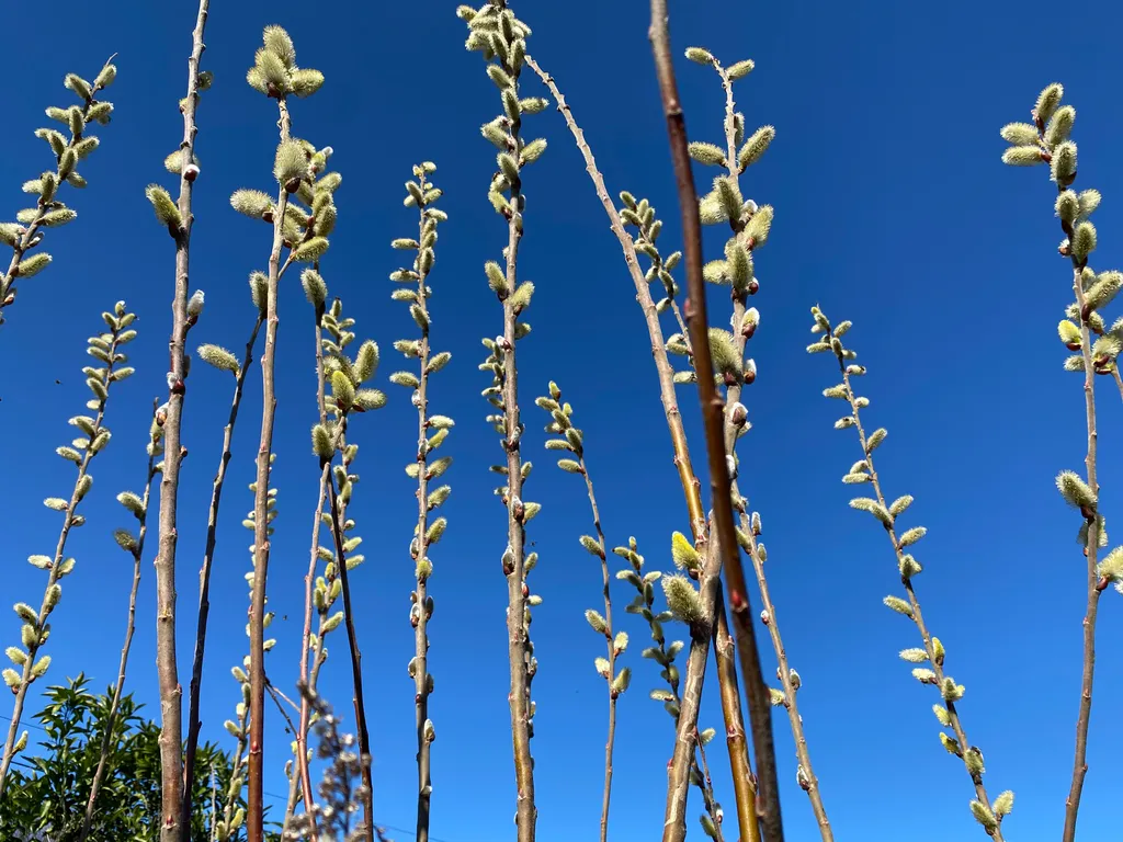 Тихий спокойный отдых у моря с шикарным видом, огромный зеленной двор