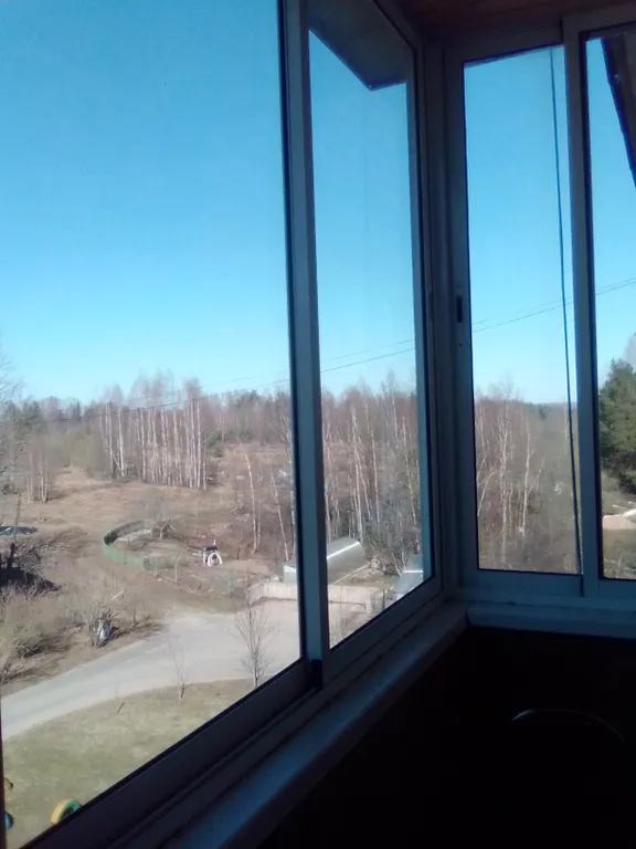 Пушкин рядом