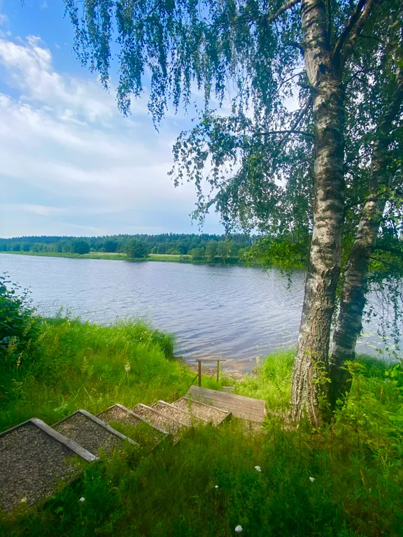 Деревянный дом на берегу реки с беседкой