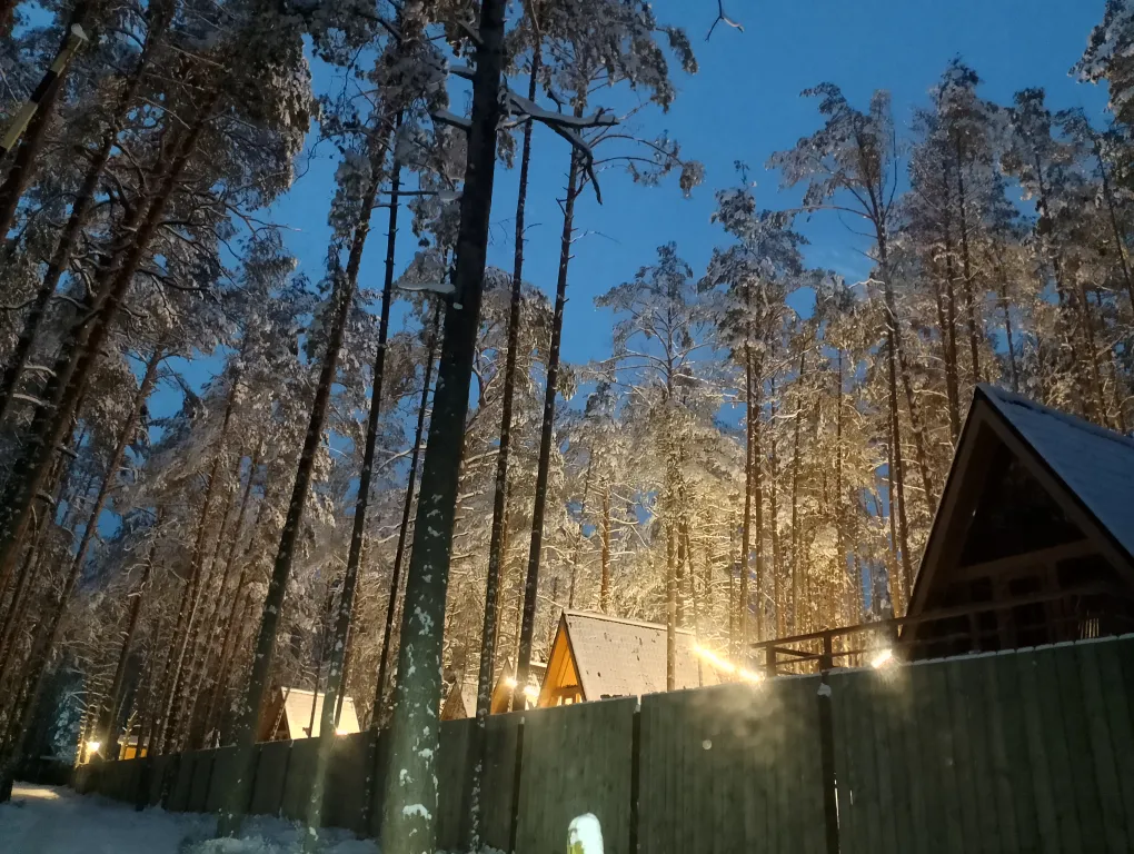 Уютный Дом с Камином в сосновом лесу 15 мин от Твери и 50 мин от МКАДа