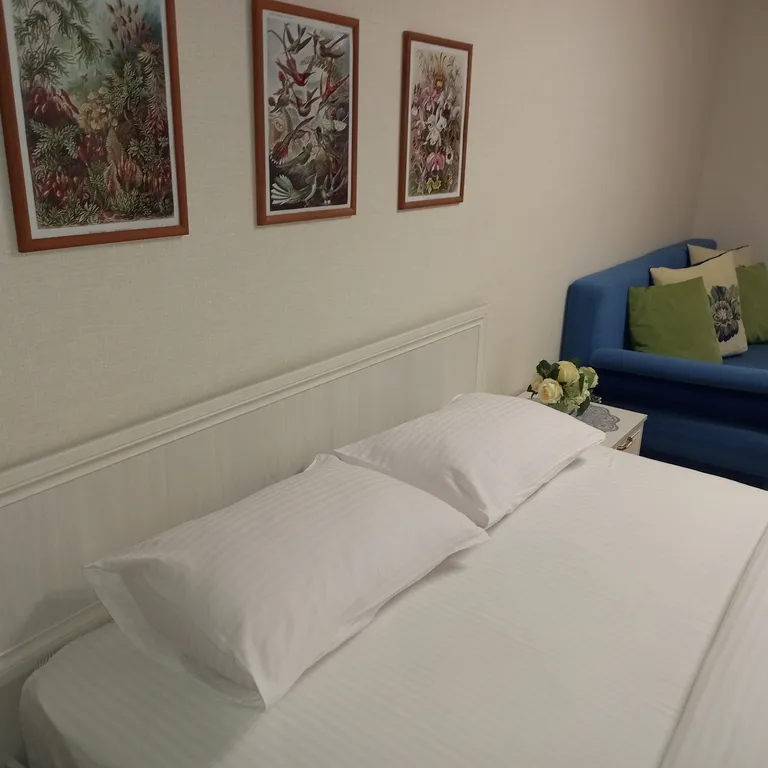 Апартаменты Пятница /"Гармония"/до 4чел/рядом с центром города