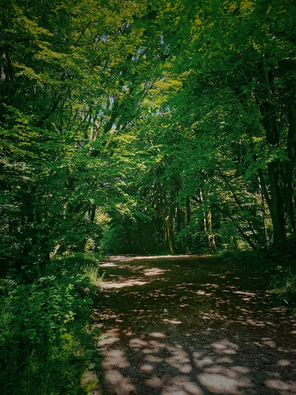 Барнс дача у моря