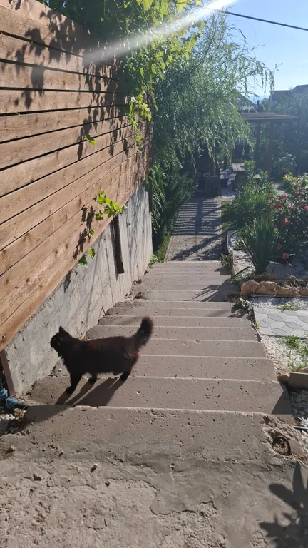 Сруб у моря