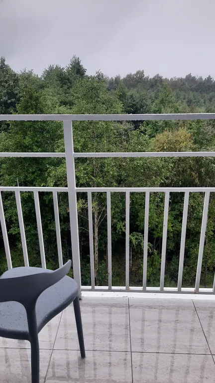 Уютная студия на Финском заливе