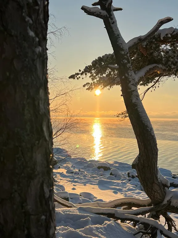 Дом для праздника рядом с Финским заливом