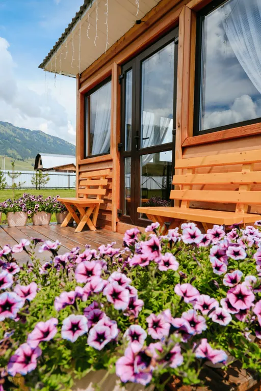 Гостевая Усадьба-Гармония Алтая